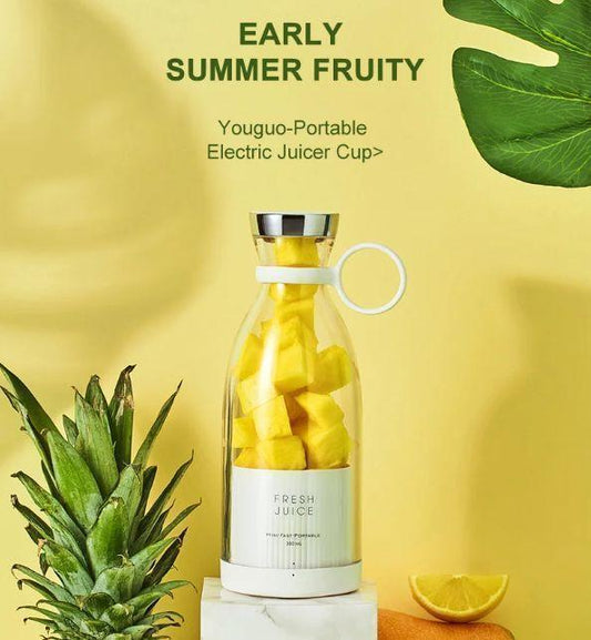 Mini Portable Blender Fruit Mixer